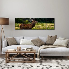 Obraz jelenia (170x50 cm)