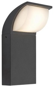 Rabalux 7166 - LED zewnętrzny kinkiet HONGKONG LED/9W/230V IP65