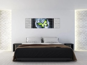 Obraz - Zielony motyl w ścianie (170x50 cm)