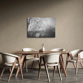Obraz - Łąka po deszczu (70x50 cm)