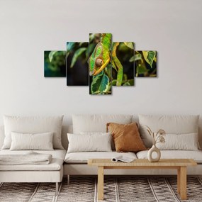 Obraz kameleona (125x70 cm)