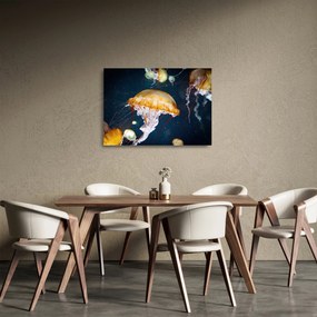 Obraz na szkle meduzy (70x50 cm)