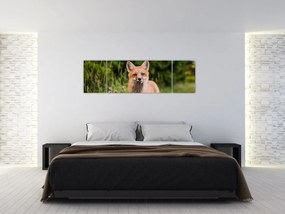 Obraz lisa (170x50 cm)
