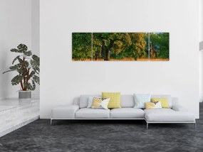 Obraz żyraf w naturze (170x50 cm)