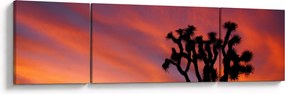 Obraz zachodu słońca nad sylwetką drzewa (170x50 cm)