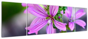 Zbliżenie kwiatu (170x50 cm)