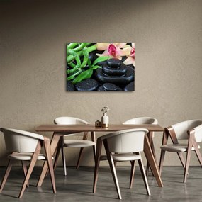 Obraz - Kamienie i orchidee (70x50 cm)