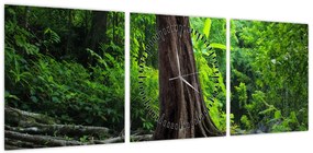 Obraz - Stare drzewo z korzeniami (z zegarem) (90x30 cm)