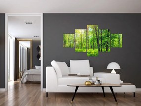 Obraz - Wiosenny las liściasty (125x70 cm)