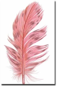 Obraz 45x70 cm Feather – Wallity