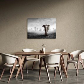 Obraz na szkle - Słonie w wielkim mieście, wersja czarno - biała (70x50 cm)
