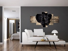 Obraz czarnego szczeniaka (125x70 cm)