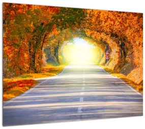 Obraz na szkle - Brama wykonana z koron drzew (70x50 cm)