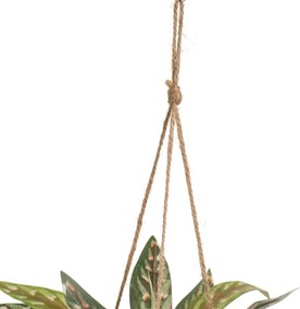 Sztuczna roślina (wysokość 25 cm) – Casa Selección