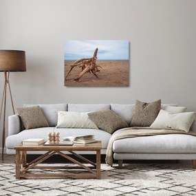 Obraz na szkle - Zmyte przez morze (70x50 cm)