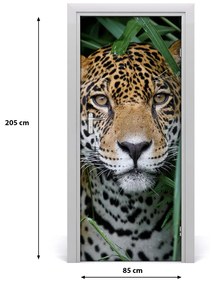 Fototapeta samoprzylepna na drzwi Jaguar w amazoni