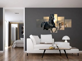 Obraz - Konie (125x70 cm)