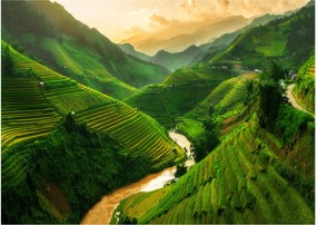 Obraz - Tarasy ryżowe Mu Cang Chai (70x50 cm)