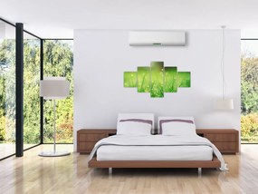Obraz - rosa na trawie (125x70 cm)