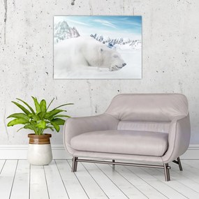 Obraz - Niedźwiedź polarny (70x50 cm)