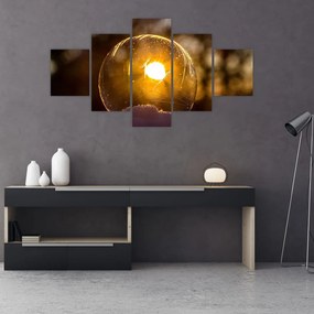 Obraz - Przezroczysta bańka (125x70 cm)