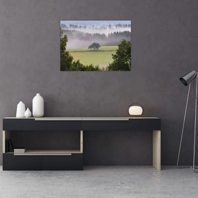 Obraz łąki z drzewem (70x50 cm)