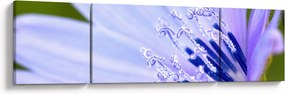 Obraz - Kwiat (170x50 cm)