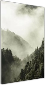 Foto obraz szkło akryl pionowy Mgła nad lasem
