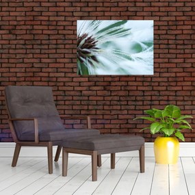 Obraz - Detal kwiatu (70x50 cm)