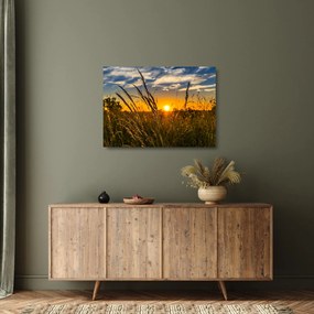 Obraz na szkle - pole o zachodzie słońca (70x50 cm)