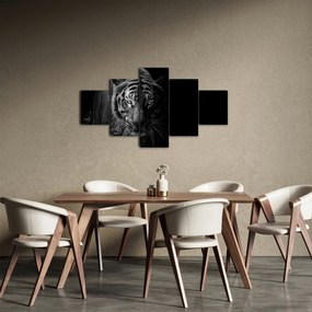 Obraz dzikiego tygrysa (125x70 cm)