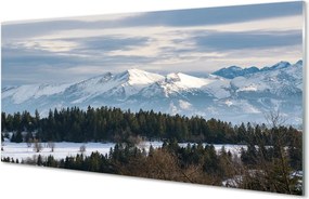 Panel szklany do Kuchni Śnieżna Kraina Gór