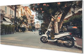 Szklany Panel Motocykle pod Palmami w Lecie