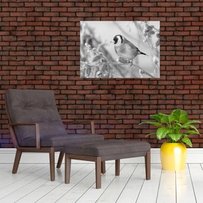 Obraz na szkle - Ptak zimą (70x50 cm)