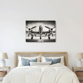 Obraz na szkle - Warbird (70x50 cm)