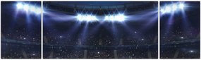 Obraz - Stadion piłkarski (170x50 cm)