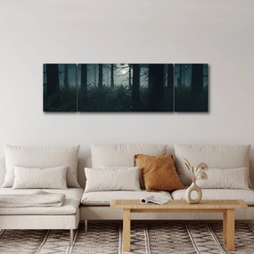 Obraz - Paproć w świetle księżyca (170x50 cm)