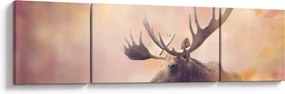 Obraz - Las w jesiennych liściach (170x50 cm)