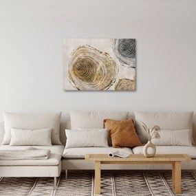Obraz - Abstrakcja pnia (70x50 cm)