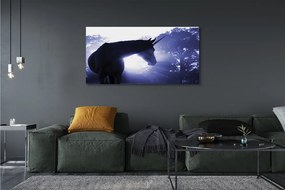 Obraz drukowany na płótnie Las i Jednorożec