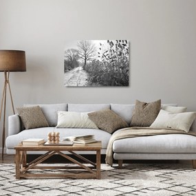 Obraz na szkle - Pola w zimie (70x50 cm)