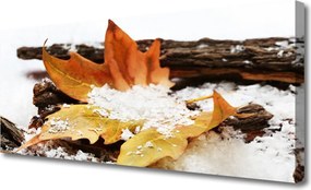 Obraz canvas Urok Skromnej Stokrotki