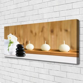 Obraz canvas Rozkwitająca Flora Botaniczna