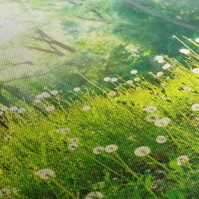 Obraz - Magiczna łąka pełna mniszków lekarskich (125x70 cm)