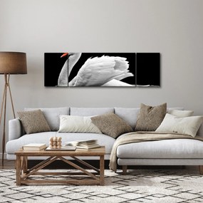 Obraz czarno - białego łabędzia (170x50 cm)