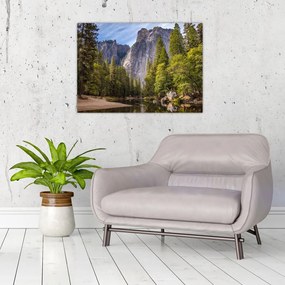 Obraz na szkle - Pod Yosemite Rock (70x50 cm)