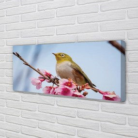 Obraz na płótnie Samotny Ptak na Gałęzi