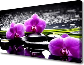 Obraz drukowany na płótnie Egzotyczny Kwiat Orchidei