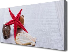 Obraz canvas Oceaniczne Skarby na Piasku