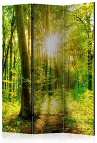 Parawan dwustronny Pejzaże 135x172 cm 3-częściowy żółty ARTGEIST B